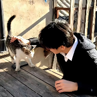 与秋赴约